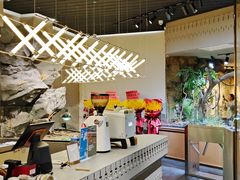 -帕帕拉兹宠物(亚洲旗舰店)