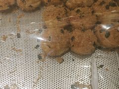 -格瑞思动物奶油生日蛋糕(圆融店)