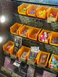 -卡通尼·Safari非洲探索乐园·生日会(金桥国际商业广场店)