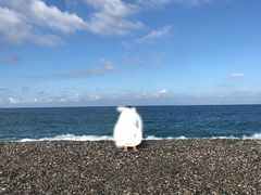 -七星潭蓝天广场