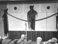 -长藤鬼校(龙翔店)