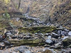 -凤凰山国家森林公园
