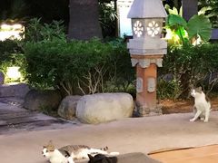 -厦门日月谷温泉渡假村