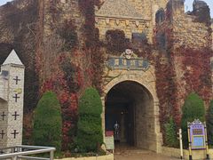 -青岛方特梦幻王国