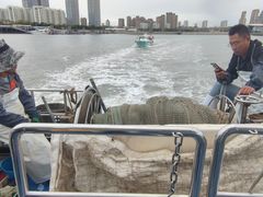 -日照灯塔风景区