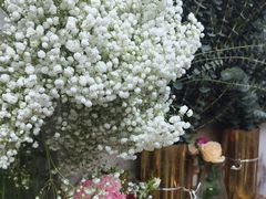 -亭亭鲜花店(中山北路店)