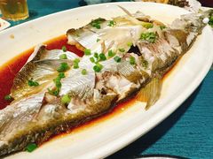 -晓琦农家菜馆·地道农家菜