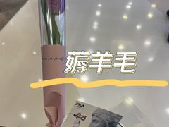 -CONVERSE匡威(王府井店)