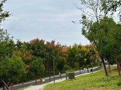 -南京市江宁方山