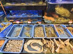 -吴记富苑(朝阳店)