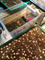 -酷嗒动物文化乐园(cutezoo西溪乐天城店)