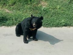 -西安秦岭野生动物园