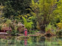 -靖西鹅泉风景区
