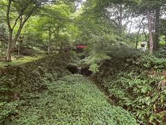 -三千院