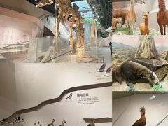 -武汉园博园(武汉自然博物馆)