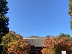 -金鼎轩(方庄天坛店)
