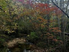 -丹东天桥沟景区