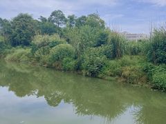 -白鹭湾湿地公园