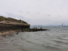 -养马岛旅游度假区