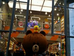 -line friends(明洞旗舰店)