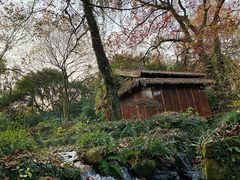 -三嚥阁 La Villa Restaurant
