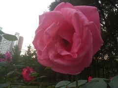 -绵阳人民公园(涪城区)
