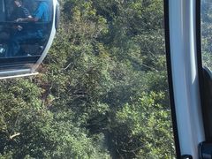 -普陀山慧济禅寺