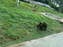 -西安秦岭野生动物园