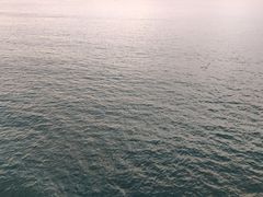-长岛万鸟岛