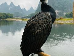 -桂林兴坪漓江
