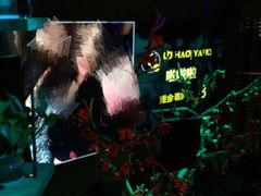 -胡桃里音乐酒馆(曲江店)