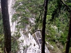-内乡宝天曼生态旅游区
