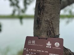 -颐和园
