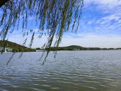 -上海月湖雕塑公园