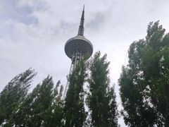 -龙塔
