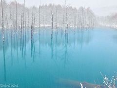 -沙美村