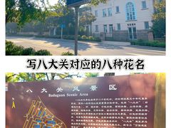 -燕儿岛山公园
