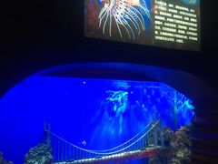 -太平洋海底世界