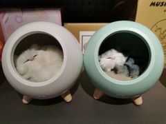 -Olé精品超市(重庆观音桥店)