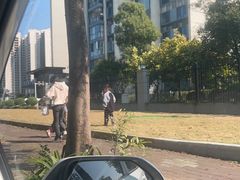 -飞来湖湿地公园