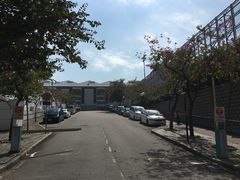 -九龙公园