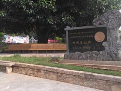 -蝴蝶泉公园