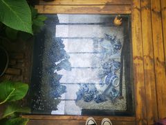 -边渡咖啡烘焙店(昙华林店)