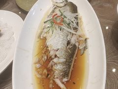 -龙景軒大酒店(共康店)