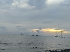 -宝安西湾红树林湿地公园