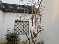 -黎里王记辣脚(黎里总店)