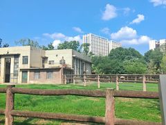 -成都动物园