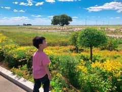 -敕勒川草原文化旅游区