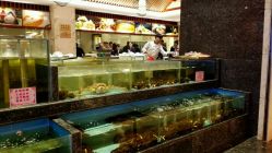 -国惠大酒楼(爱琴海购物公园店)