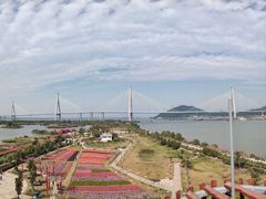 -芒洲湿地公园